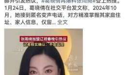 张雨绮风波：飒爽女王人设崩塌法律伦理双重挑战